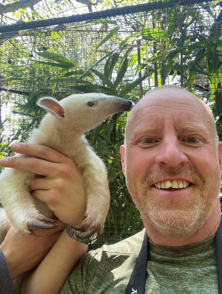 anteater for sale anteater for sale